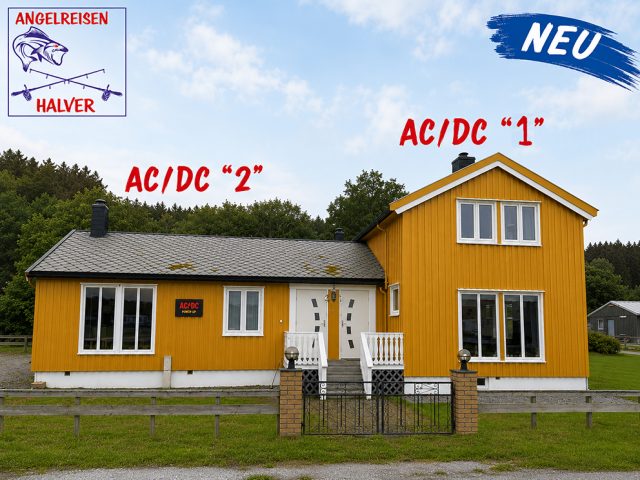 Abelvær AC/DC 2 Angelreisen Halver