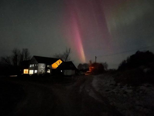 Insel Jøa Angelreisen Halver
