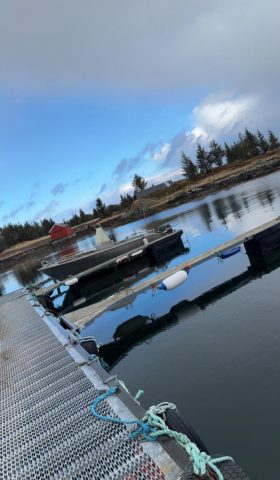 Angelreisen Halver Solvang 3