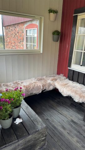 Angelreisen Halver Solvang 3