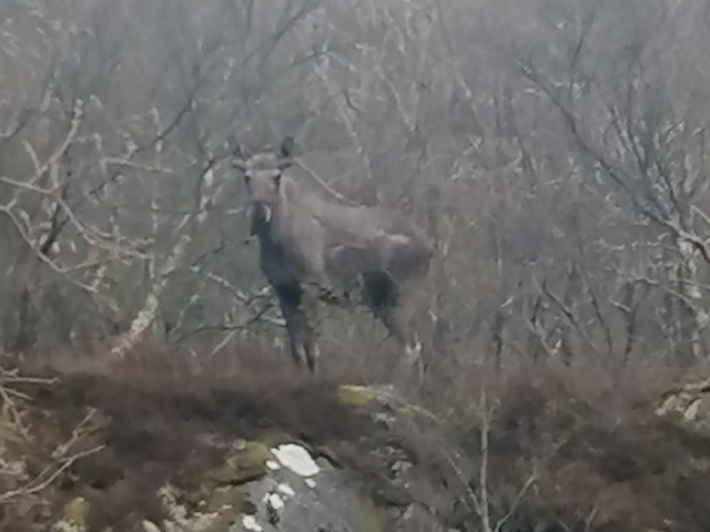 Impressionen Vikna Impressionen Vikna