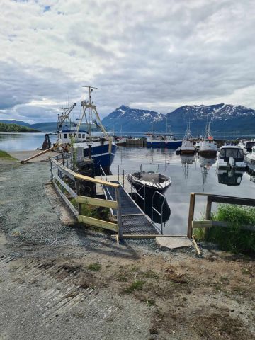 Malangenfjord Angelreisen Halver